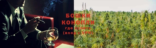 шишки Володарск