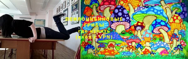 дмт Верхний Тагил