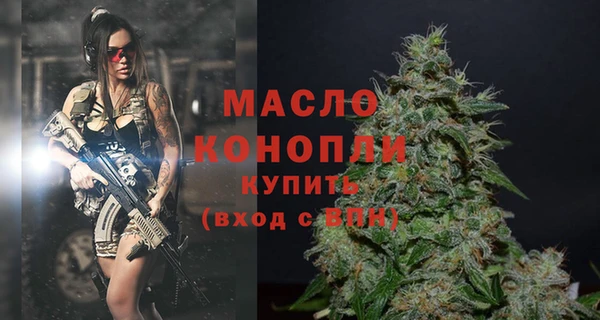 шишки Володарск