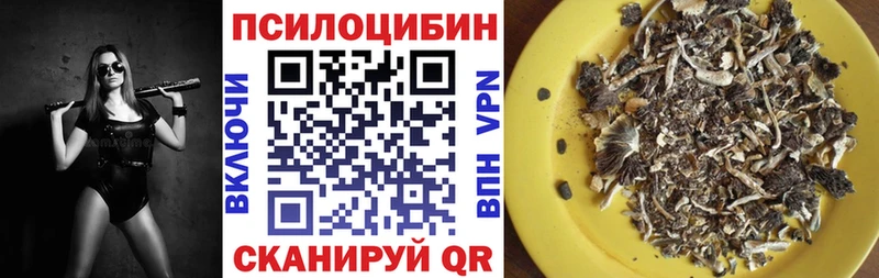 наркошоп  Ивантеевка  Псилоцибиновые грибы MAGIC MUSHROOMS 