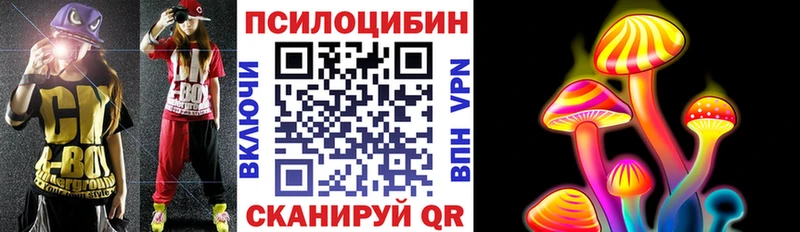 Галлюциногенные грибы Psilocybe Ивантеевка